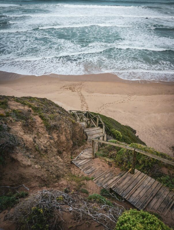 kamp tavası kamp tavası