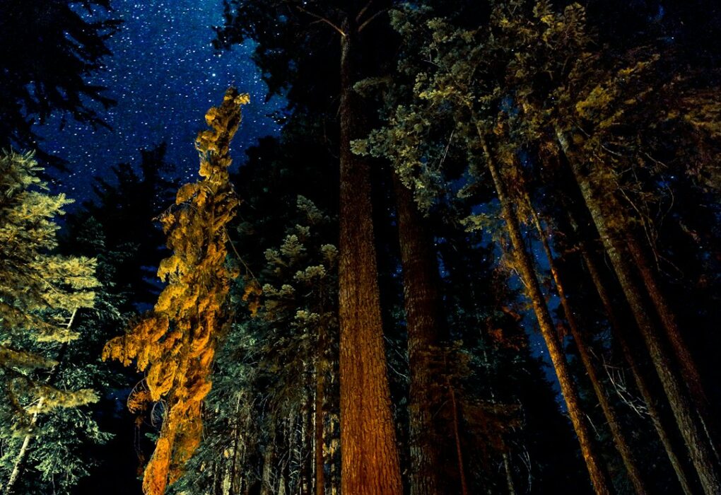 Sansarak Kanyonu: Doğanın Güzelliklerini Keşfedin