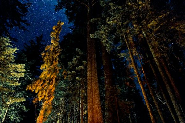 Sansarak Kanyonu: Doğanın Güzelliklerini Keşfedin